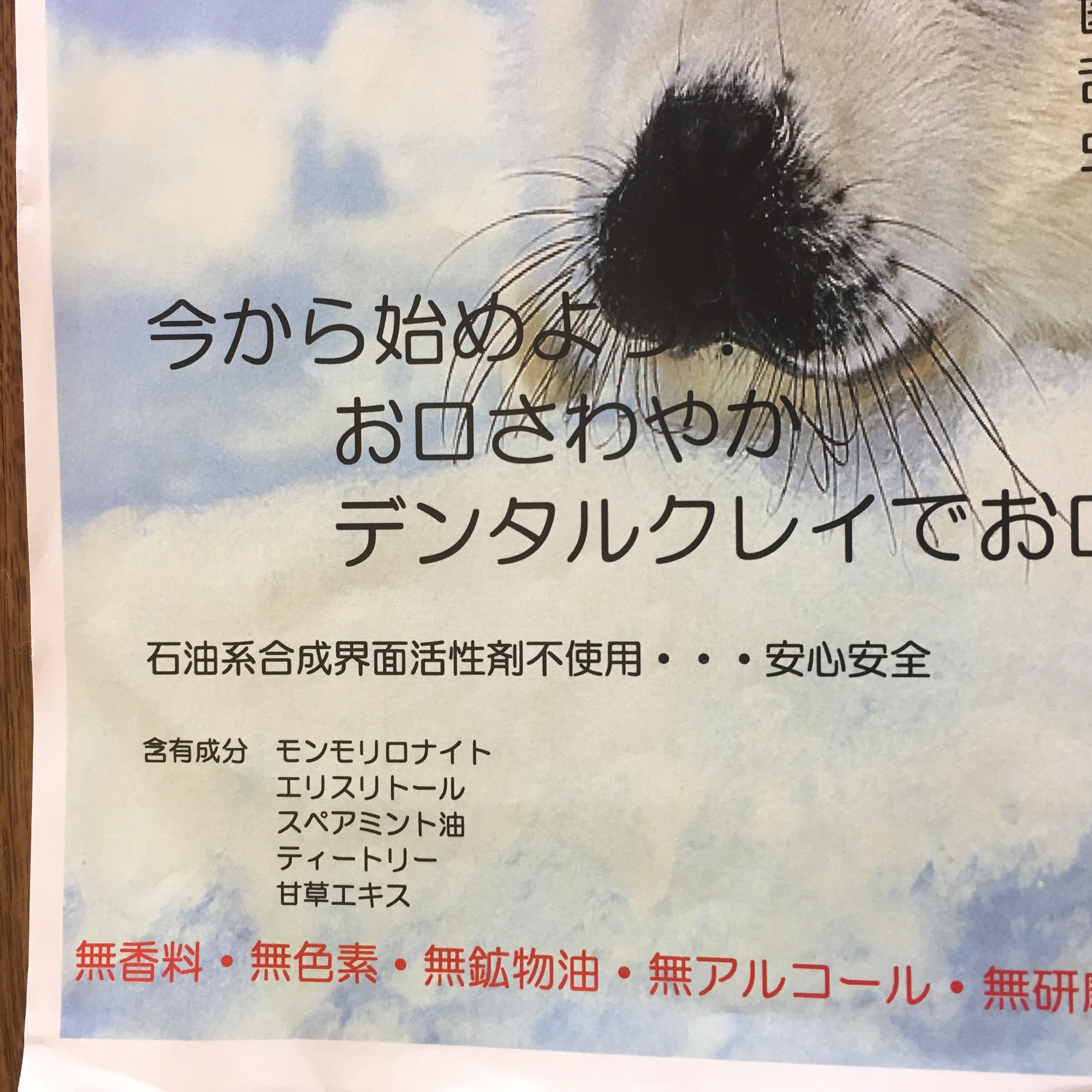 !cid_42ca6d6e-79a6-4ff5-8ca2-bb1df3ca0f89@apcprd01_prod_exchangelabs.jpg歯磨き3.jpg