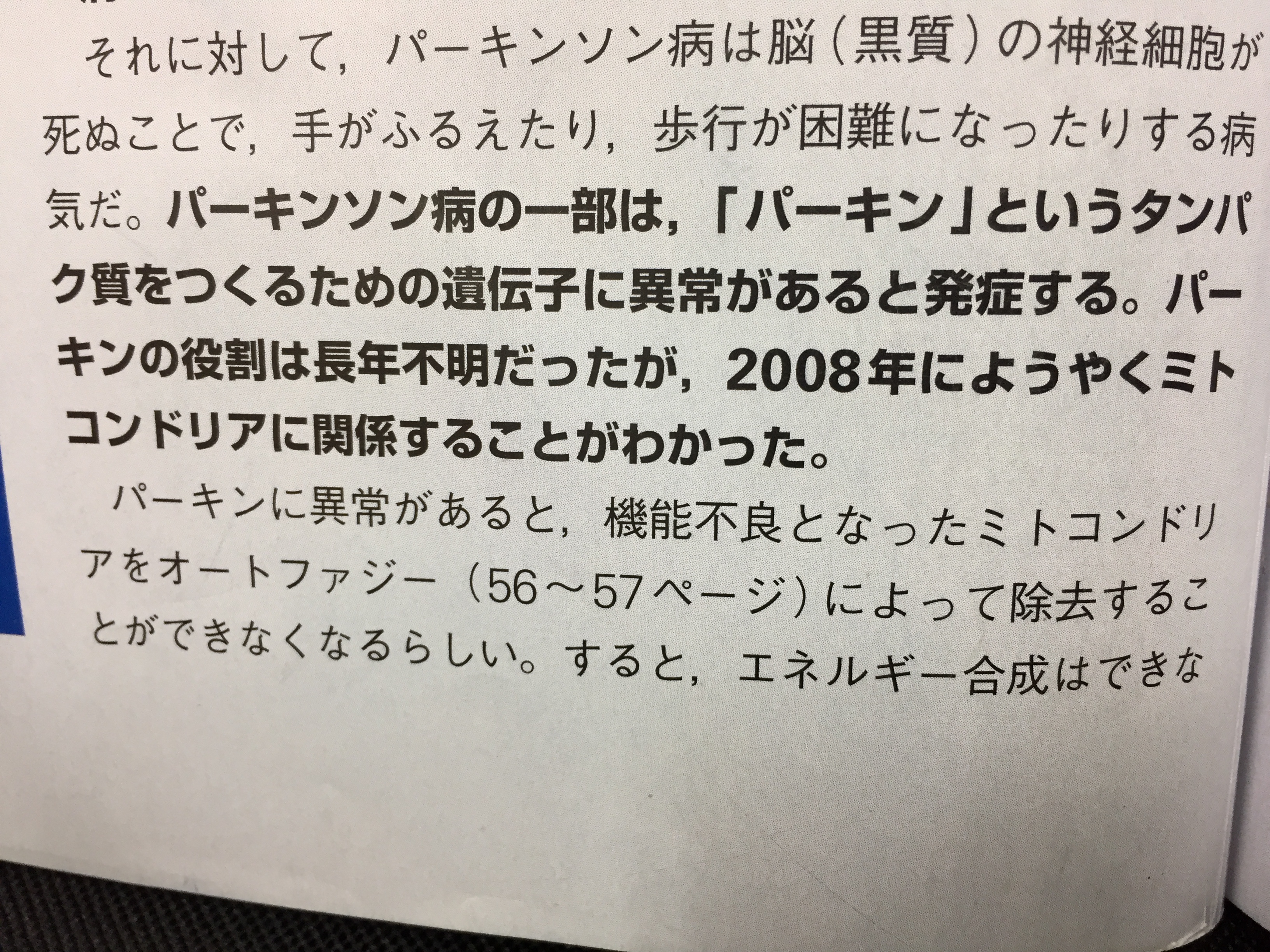みと2.jpg