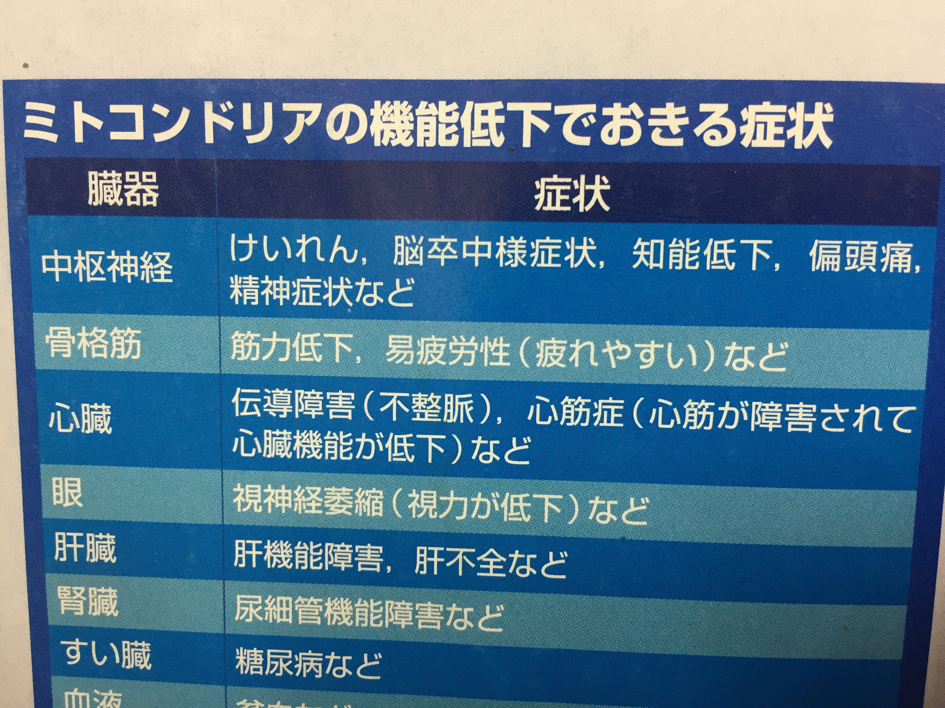 みと3.jpg