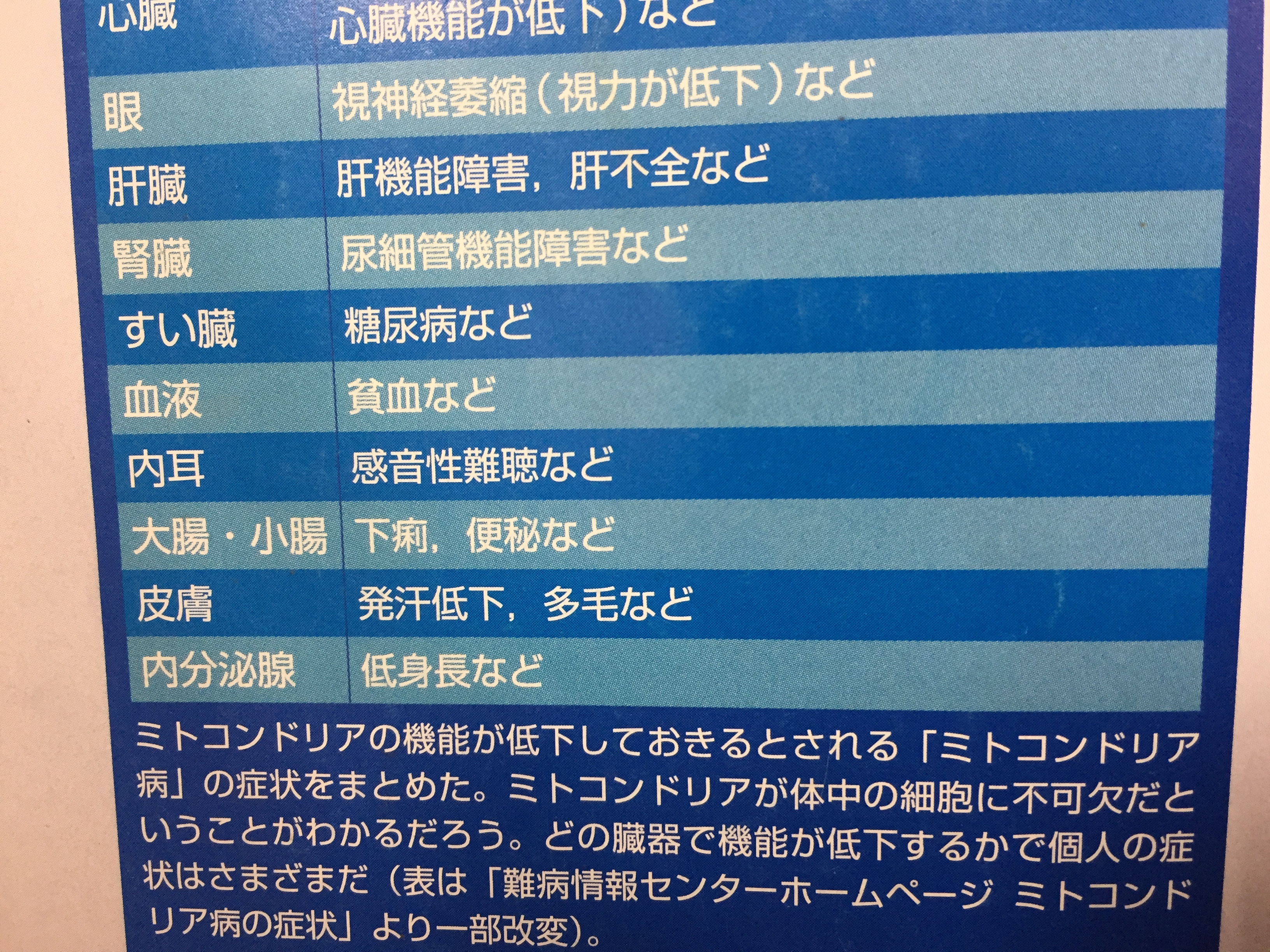 みと4.jpg